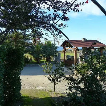 Tocco *