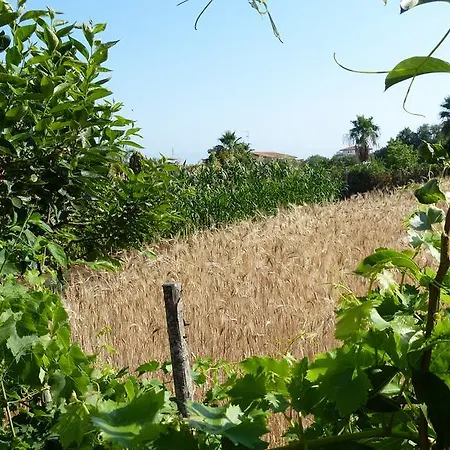 Apartman Tocco